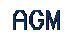  AGM 